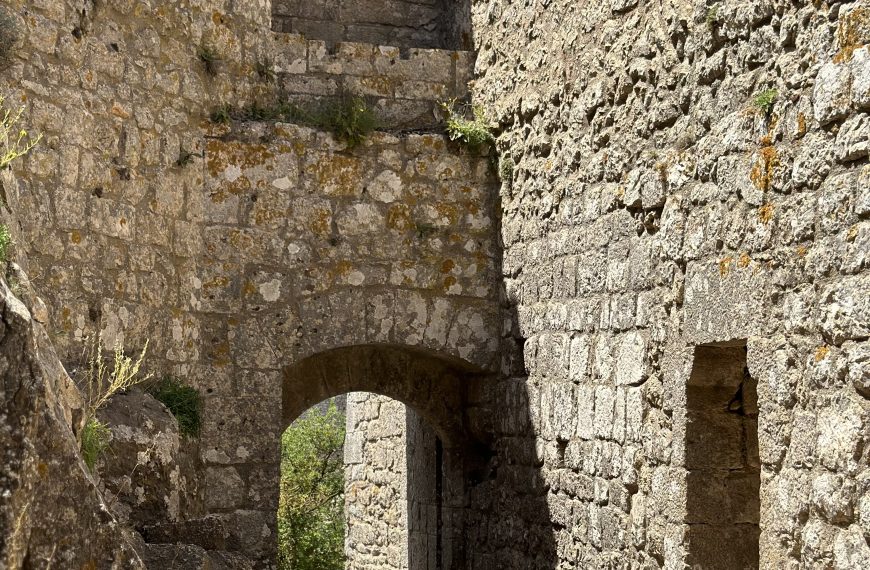 Peyrepertuse (39)